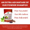 Natural Hair Shampoo for Hair 8 oz, AMLA REETHA SHIKAKAI POWDER (Phyllanthus emblica, Sapindus mukorossi, Acacia concinna),Product of Havintha, 227g