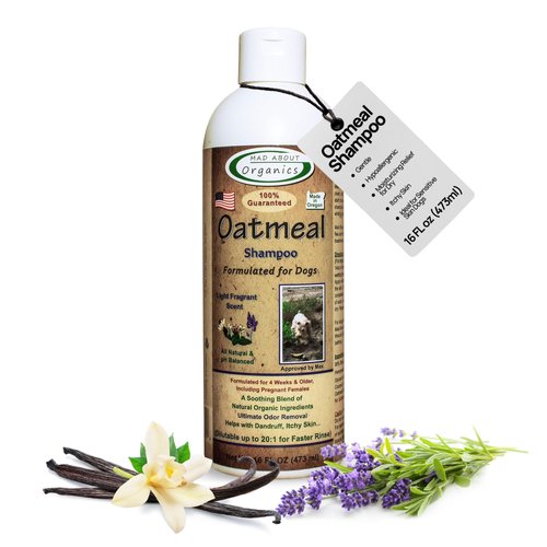 Oatmeal Shampoo for Dogs 16oz - Natural Formula for Sensitive Skin, Itchy Skin Relief, Dog Shampoo for Allergies and Itching, Moisturizing Pet Shampoo, Dog Dandruff Shampoo by Mad About Organics