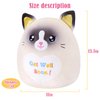 CozyWorld 13.5" Get Well Soon Cat Plush Pillow Soft Cute Cat Stuffed Animal Get Well Soon Gift for Women Girls Kids Patient Feel Better Plush Toy