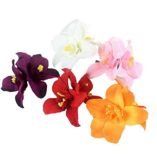 ericotry 5Pcs Double Chiffon Orchid Flower Hair Clip Hawaiian Butterfly Orchid Flower Clips for B...