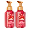 Bath and Body Works 2 Winter Candy Apple Gentle Foaming Hand Soap. 8.75 Oz.