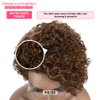 Rebecca Fashion Ombre Brown Curly Pixie Cut Lace Front Wigs Human Hair Water Wave Short Pixie Cut Wig Side Part 13x5.5x0.5 HD Lace Pixie Cut Lace Front Wigs Human Hair