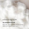 Bioelements Flash Foam Cleanser - 6.5 fl oz - Exfoliating Foam Cleanser for Oily, Combination & Dry Skin - Vegan, Gluten Free - Never Tested on Animals