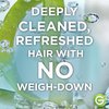 Garnier Whole Blends Coconut Water & Aloe Vera Refreshing Shampoo for Normal Hair, 26.6 Fl Oz, 1 Count (Packaging May Vary)