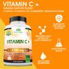 NaturaLife Labs A Higher Standard Vitamin C 1,700 MG with Vitamin D3, Zinc, Elderberry, Ginger Root - Maximum Strength Multi System Immune Support- 100 Veggie Capsules