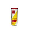 WILSON Championship Tennis Balls - Extra Duty, Single Can (4 Balls)