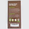 Herbishh Hair Color Shampoo 10 Sachet +1 Argan Hair Mask Pouch | 3 in 1 Hair Dye | PPD Free | Easy to Use | Gray Coverage | Travel Size | Available in 6 Colors | (Chestnut Brown)