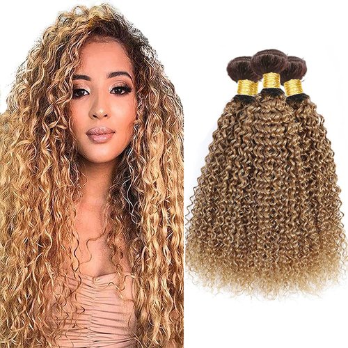 Ombre Bundles Human Hair T4/27 Water Wave Bundles Grade 8A Brazilian Virgin Human Hair 3 Bundles 20 22 24 Inch 2 Tone Brown and Honey Blonde Bundles Double Weft Hair Extensions
