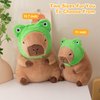 Ditucu Cute Capybara Plush Pillow with Wearable Frog Hat Stuffed Animals Capibara Plushies Toys Gifts for Kids 11 inch