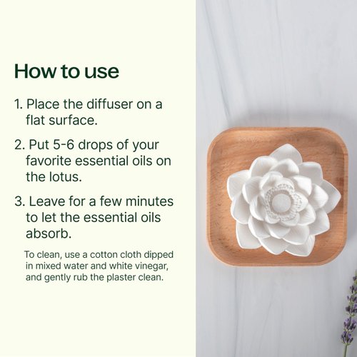 Plant Therapy Passive Lotus Flower Aromatherapy Diffuser - A Chic and Natural Home, Office, and Travel Essential Oil Diffuser