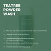 Mediheal Teatree Calming Powder Wash (1.76 oz) - Hydrating Daily Facial Cleanser with Gentle and Rich Bubbles for Remove Blackhead