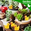 200 Pieces Mini Resin Ducks Yellow Tiny Duckies for School Project Accessories Miniature Characters Fairy Garden Landscape Aquarium Dollhouse Potted Plants Decorations