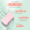 Spongeables Body Wash in a 20+ Wash Sponge, Sweet Grapefruit, 1 Count