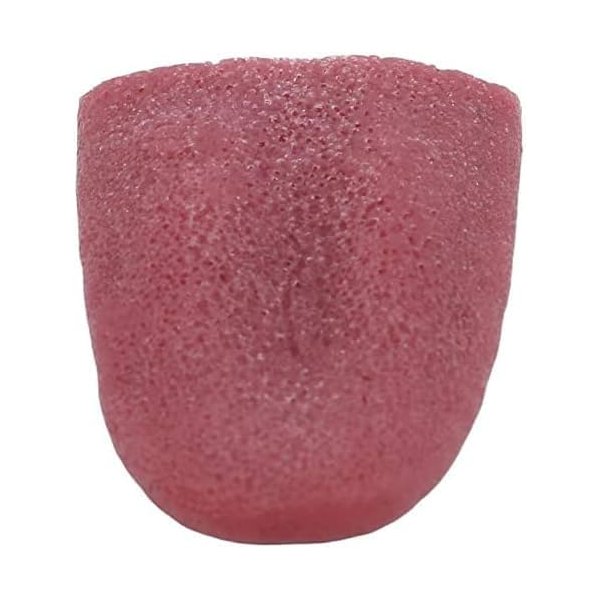 Sluswallow 2Pcs Realistic Fake Tongue Gross Jokes Prank Magic Tricks Fashion Processing Halloween Magicians Props Tricks Tongue Toys Novelty and Gag Toys