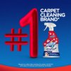 Resolve Pet Expert Stain and Odor Remover, Carpet Cleaner, Pet Stain and Odor Remover, Carpet & Upholstery Cleaner - Removes Stains and Odors, 22 oz (pack of 1)