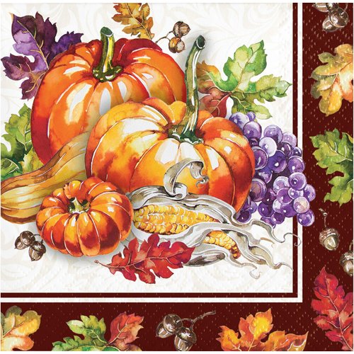 Creative Converting Cornucopia 2-Ply Beverage Napkins, 16 Ct, 5", Multicolor