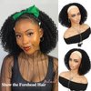 Fancy Hair Afro Wig Afro Kinky Wigs Short Curly Half Wig Heat Resistant Fiber Synthetic Party Cosplay Half Wigs for Women Nature Black