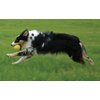 Starmark Fantastic DuraFoam Ball Tough Dog Toy, Color Varies Medium