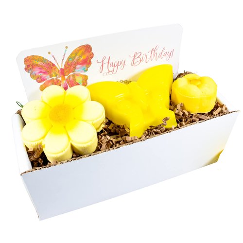 Raspberry Lemonade Happy Birthday Spa Gift Set For Kids with Butterfly Soap Flower Bath Bomb and Flower Solid Bubble Bath Bar