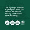 Standard Process OPC Synergy - Whole Foods Cognitive Health, Brain Health and Brain Support, Eye Support and Eye Health with Bilberry, Grape Seed Extract, Green Tea Powder, and More - 40 Capsules