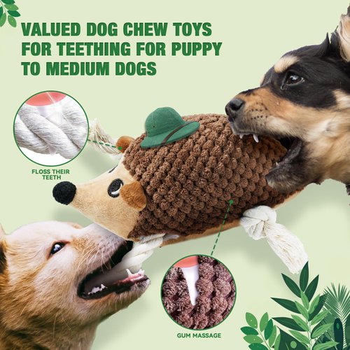 LEGEND SANDY Plush Small Dog Toys for Small Breeds, Indestructible Puppy Toys to Keep Them Busy, Tough Stuffed Animals Puppy Chew Toys, Squeaky Dog Toys (5 Pack Puppy Toys)