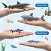15 Pcs Shark Toys Plastic Assorted Ocean Animal Shark Figurine Realistic Shark Bath Toys Sea Creature Toys Shark Figures Marine Animal Figurines for Kids Birthday Party Favor Cake Topper Cognitive Toy
