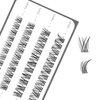 i-Laesh Lash Clusters - E02 DIY Eyelash Extensions 40 Clusters - Mega Volume D Curl Individual Lashes Cluster Extensions for DIY at Home (Lash Clusters - E02, D - 10-16 mm)