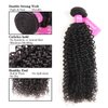 Original Queen 100% Brazilian Unprocessed Virgin Kinky Curly Human Hair Weave 4 Bundles Deep Curly Hair Extensions Mixed Length 12 12 12 12inches