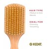 Kent OG4 Rectangular Beachwood Gentlemen's Hair Brush and Facial Brush for Beard Care - Exfoliating Natural Boar Bristle Brush for Mens Grooming, Hair Care, and Beard Straightener for Men's Skin Care