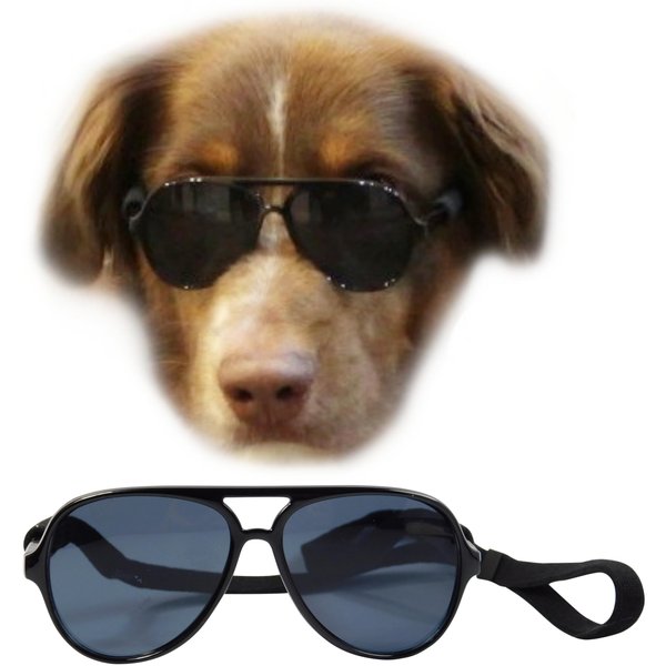 G010 Dog pet Costume Aviator Sunglasses for Medium Breeds 20-40 lbs (Black)