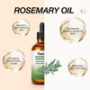 Vailontiss Rosemary Oil, Scalp & Hair Strengthening Oil, Rosemary Oil for Hair Growth, Dandruff Removal and Hair Strengthening for All Hair Types(Rosemary Oil, 2 Fl Oz)