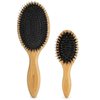 BESTOOL Hair Brush (Regular & Small), Boar Bristle Hair Brushes for Women Men Kids Thick Fine Curly Hair, Hairbrush for Detangling, Soften & Silky Shine