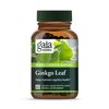 Gaia Herbs Ginkgo Leaf - Traditionally Used to Support Healthy Circulation and Brain Function - Organic, Herbal Supplement - 60 Vegan Liquid Phyto-Capsules (20-Day Supply)