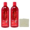 Bath & Body Works Winter Candy Apple 2 Pack Shampoo Bundle with a Natural Oats Bar Soap
