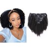 Afro Kinky Curly Clip in Human Remy Hair Extensions Brazilian Curly Clips Hair Extensions 4B 4C 8A Virgin Thick Natural Black Color Clip on For Black Women 10-22 inch (10 inch, AC #1B)