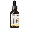 ECLECTIC INSTITUTE Kids, Herbal Cough Elixir, Black Cherry Flavored | Non-GMO, Gluten-Free | 1 fl oz (30 ml)
