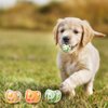 PEUTIER 3pcs Dog Pacifiers, Silicone Puppy Kitten Calming Pacifier Cute Dog Pacifier Chew Toy Pacifier Dog Toy for Small Dogs Cats (3 Colors)
