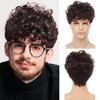 Tseses Brown Curly Men Wigs Afro Short Layered Synthetic Hair Fluffy Daily Cosplay Costume Wig