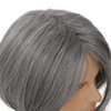 RicHyun Mens Grey Wig Short Grey Wig Side Part Synthetic Hair Replacement Wig for Daily Party Costume Halloween