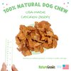 Nature Gnaws Chicken Jerky for Dogs – Made in The USA – Premium Natural Grain Free Dog Chew Treats – 1lb