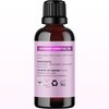 Pure Lavender Essential Oil - Premium Lavender Essential Oil for Hair Skin and Nails - Aromatherapy Lavender Oil for Diffusers Humidifiers and Linens Plus Natural Bath Oil for Home Spa Self Care