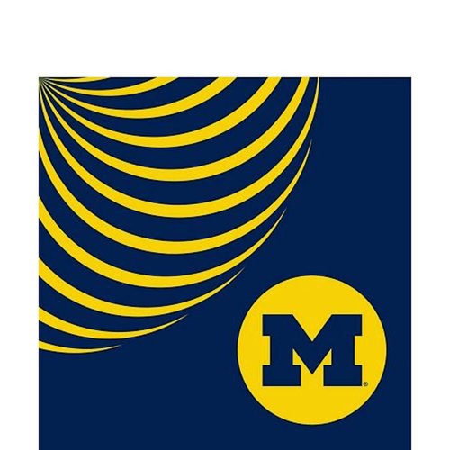 Westrick Paper Michigan Wolverines Beverage Napkins