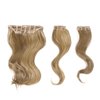 18" Wavy 3 piece Clip In Extension Kit Color R14/88H GOLDEN WHEAT - Hairdo Hairpieces Tru2Life Heat Friendly Synthetic Wavy Flat Iron Blow Dry Beach Waves