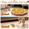 Giociv Interactive Cat Toys Ball Fast Rolling in Pouch, Motion Activate Chirping Cat Toy Hide and Seek Mouse Catching Game (Halloween Party)