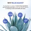 T'ELSE Blue Agave Hyaluronic Acid Cream 1.7 oz, Hypoallergenic Extra Moisturizing Face Cream with Gel Capsules, Rich Facial Moisturizer, Deep Hydration with Clean Ingredients, Korean Skin Care