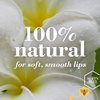 Burt's Bees 100% Natural Moisturizing Lip Balm, Superfruit - Pink Grapefruit, Mango, Coconut & Pear, Pomegranate - 4 Tubes