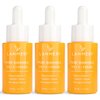 Vitamin C Face Serum 3pack- CE Ferulic Facial Serum with 15% Pure L-Ascorbic Acid, Ferulic Acid, Vitamin E, & Hyaluronic Acid - Anti Aging, Anti Wrinkle Skin Brightening Dark Spot Corrector
