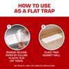 Tomcat Household Pest Glue Trap, 4-Pack