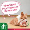Elf for Pets Maple Syrup & Spaghetti Dog Plush and Rope Activity Toy | Squeaky Plush Toys for Dogs, Rope Tug Toys for Dogs | Officially Licensed Pet Product for Dogs, 6 Inch (FF23460)