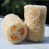 HealthGoodsIn - Organic Loofa Natural Bath Sponge, Set of 2 Exfoliating Bath Sponge Scrubber | Naturally Grown Loofah (Set of 2)